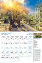 Load image into Gallery viewer, Explore Israel's Trees Through a Biblical Lens Calendar 2025-26